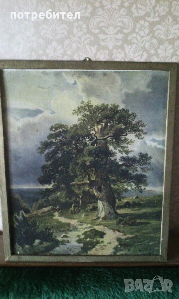 Картина Деревья - Ленинград - 1966 г. Иван Шишкин, снимка 1