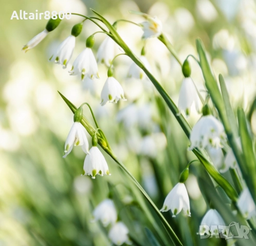 Nikon AF-S 18-200mm f/3.5-5.6G ED VR обектив Никон, снимка 8 - Обективи и филтри - 52515250