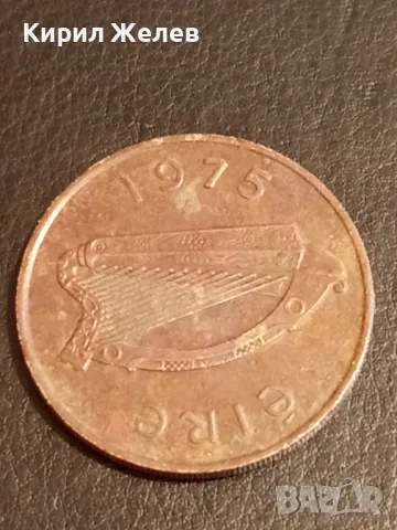 Две монети 100 лири 1974г. Италия - 10 пени 1975г. Ейре за КОЛЕКЦИЯ 47897, снимка 7 - Нумизматика и бонистика - 49082712