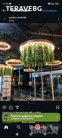 Висящи изкуствени растения , снимка 12 - Изкуствени цветя - 48670825