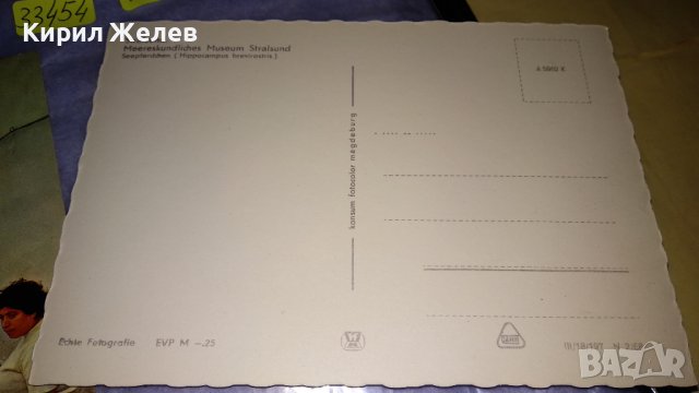 ЛОТ 4 РЕДКИ СТАРИ ПОЩЕНСКИ КАРТИЧКИ ВОЕНЕН ПАМЕТНИК МОРСКА ФАУНА МОРЕ ЕКЗОТИКА 33454, снимка 6 - Филателия - 38777761
