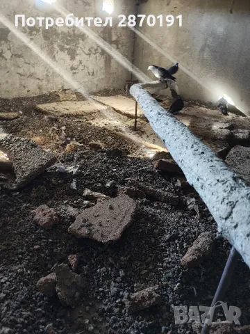 почистване на Къщи,мази,тавани,дворове, галабарници., снимка 13 - Почистване на домове - 47931632