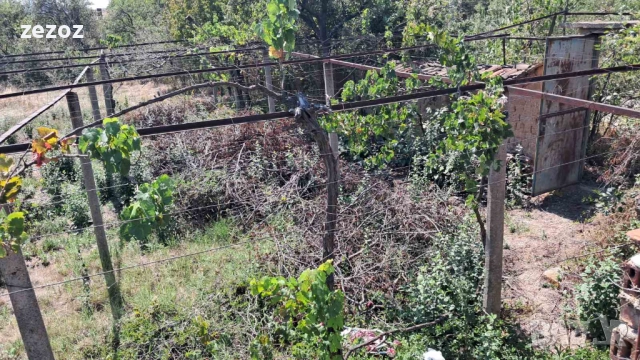 УПИ с.Ветрен-980кв.м, снимка 9 - Парцели - 52707494