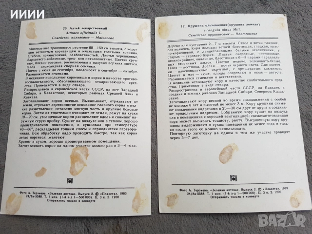 Картичка билка 21 бр - 2, снимка 2 - Други ценни предмети - 52374603
