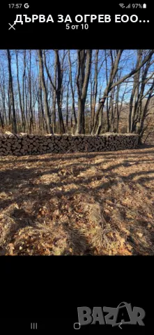 предлагам дърва за огрев метровки дъб , снимка 2 - Дърва за огрев - 48173226