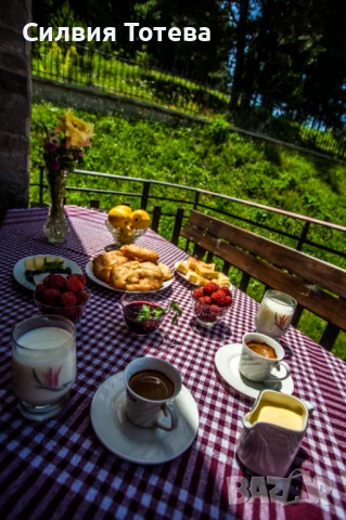 Продавам разработен бизнес, снимка 18 - Други - 45559292