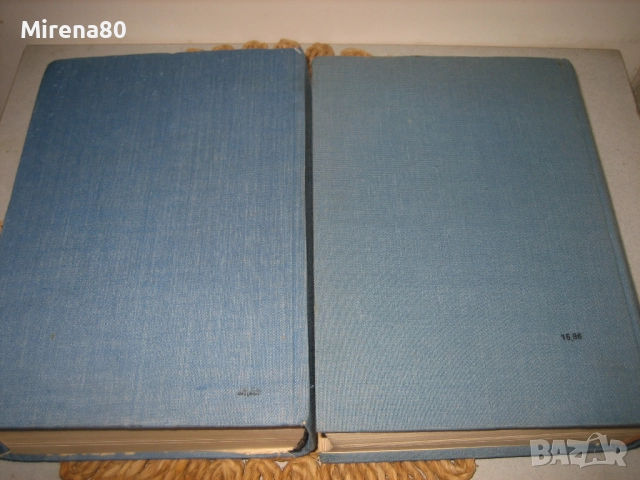 Руско-български речник в 2 тома - Наука и изкуство, снимка 8 - Чуждоезиково обучение, речници - 52123606