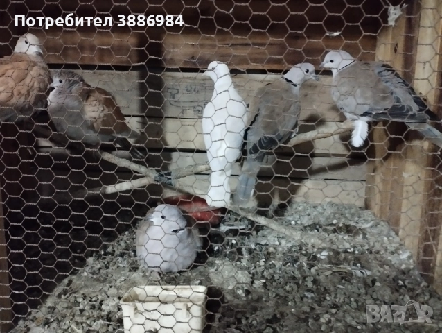 продавам ,заменям