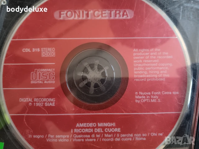 аудио компакт дискове без обложки, снимка 17 - CD дискове - 50559274