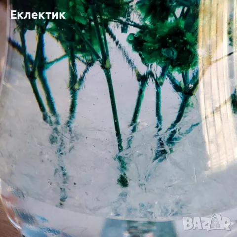 Стъклени свещници /преспапиета с хербарий, снимка 9 - Декорация за дома - 50174551