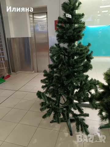 Елха 120 см