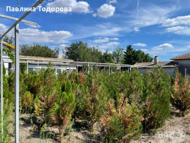 "ПРЕСТИЖ-П"ЕООД ПРОДАВА ВИЛА В СЕЛО ПОЛ.МИНКОВО, снимка 16 - Къщи - 52570618