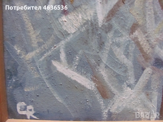 Красива Картина масло, платно ,художник Силвия Радева,подпис, снимка 2 - Картини - 52573784