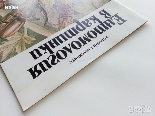Ентомология в картинки - В.Танасийчук - 1987г. , снимка 12 - Детски книжки - 38938271