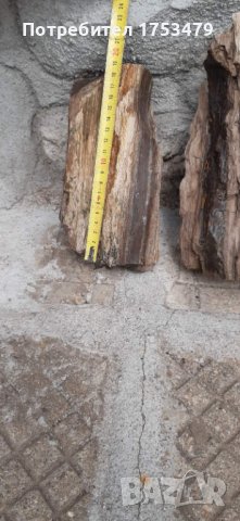 Вкаменено дърво,камено дърво, снимка 5 - Декорация за дома - 40392454