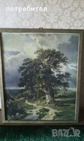 Картина Деревья - Ленинград - 1966 г. Иван Шишкин