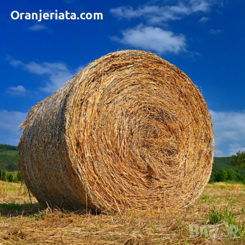 Мрежа за балиране за рулон бали - HDPE - УВ (UV) стабилизация, снимка 4 - Огради и мрежи - 37452340