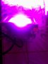 осветление прожектор LED, снимка 2