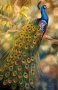 Диамантен гоблен Паун, снимка 1 - Гоблени - 36809118