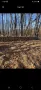 предлагам дърва за огрев метровки дъб , снимка 2
