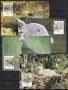 Мадейра - Португалия 1991 - 4 броя Карти Максимум - WWF, снимка 1 - Филателия - 38659198