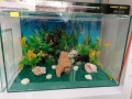 Продавам нов аквариум, снимка 1 - Аквариуми - 44923098