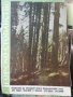 Горско стопанство - списание 1964 година, снимка 7