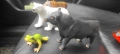 Фигурки Schleich и Papo, снимка 2
