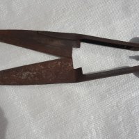 Старинна ножица за стригане на животни, снимка 2 - Антикварни и старинни предмети - 28383853