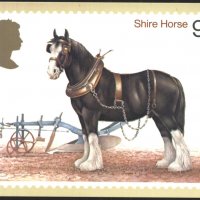 Пощенска картичка Марка Кон 1978 от Великобритания, снимка 1 - Филателия - 39189038