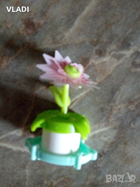 Зелено цвете , снимка 1