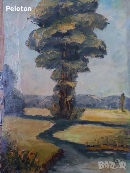пейзаж ,30/ 20 ,неизвестен автор , снимка 1