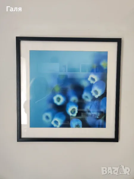 Авторска фотография - Нежност , снимка 1