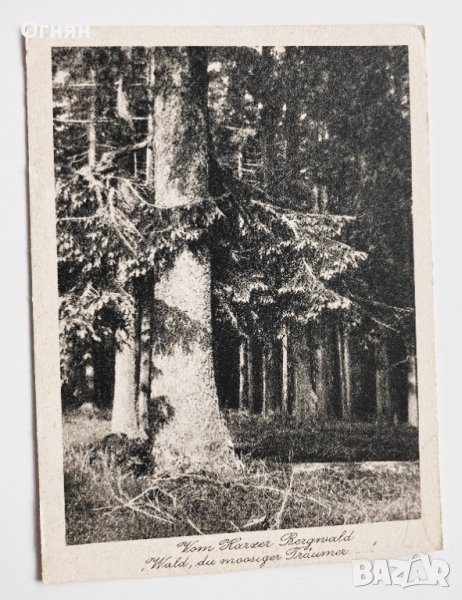 Стар черно-бяла картичка Бергвалд 1929, снимка 1