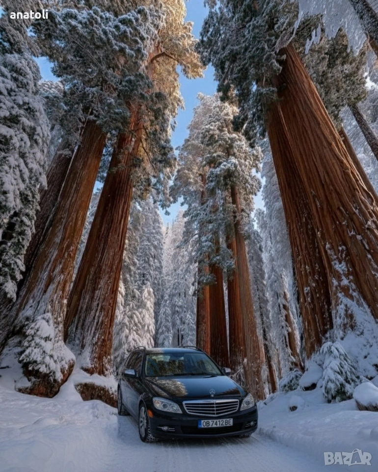 Mercedes-Benz C 200 CDI, Комби, Употребяван, нов внос, снимка 1
