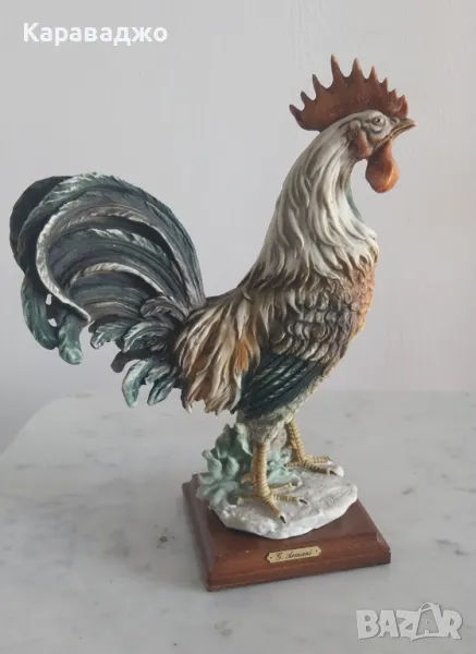 Петел Каподимонте, снимка 1