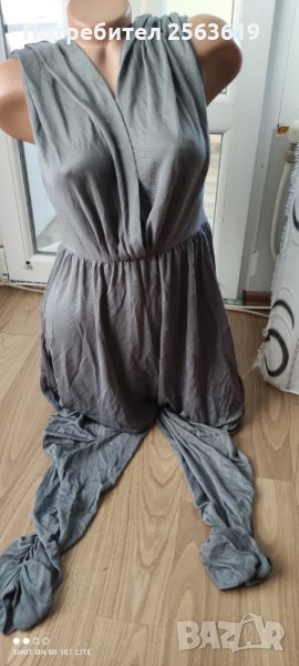 Сив гащеризон, снимка 1