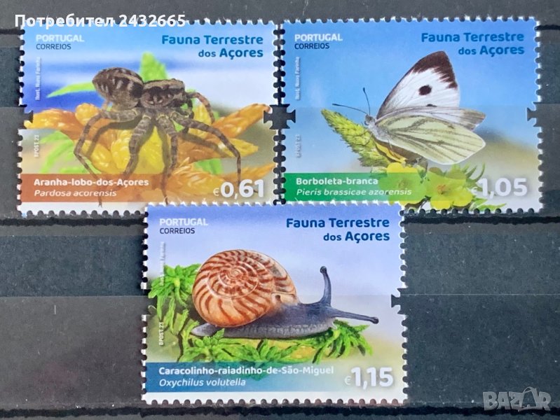 1953. Азорски острови 2023 ~ “ Фауна. Сухоземна фауна на Азорите.”, **, MNH, снимка 1