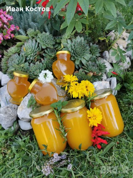 Пчелен мед 5лв/кг на тенекия, снимка 1