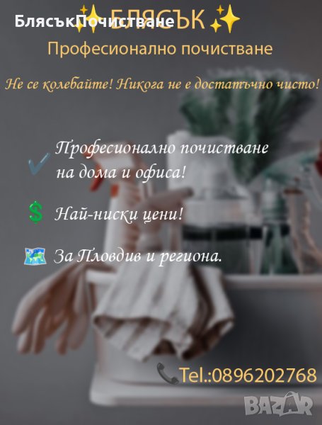 Професионално Почистване, снимка 1