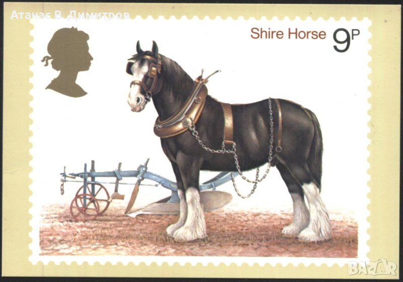 Пощенска картичка Марка Кон 1978 от Великобритания, снимка 1