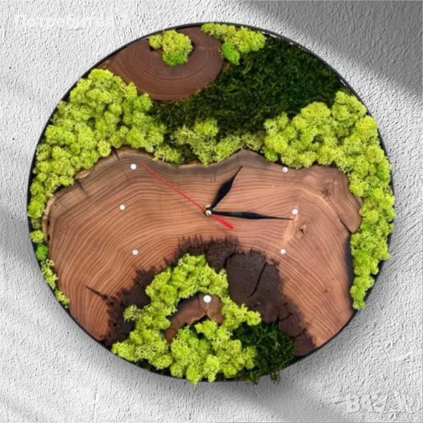 Дървен часовник със скандинавки мъх , снимка 1