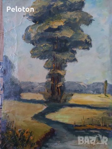 пейзаж ,30/ 20 ,неизвестен автор 