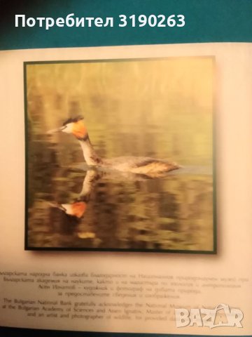 10 лева голям гмурец. , снимка 2 - Нумизматика и бонистика - 38066436