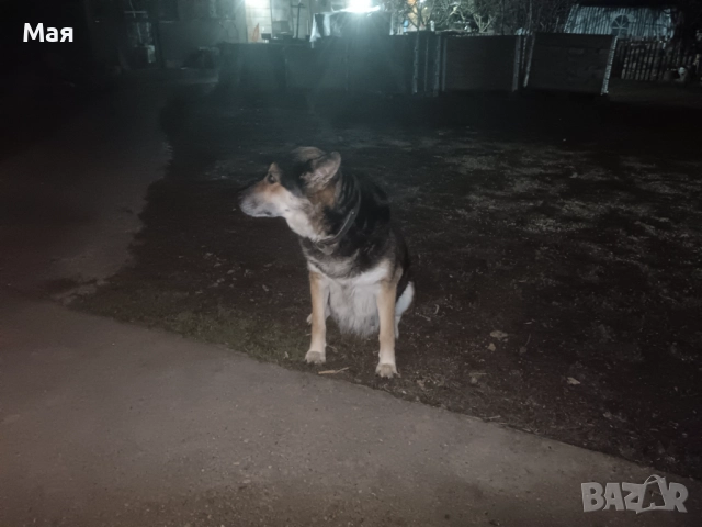 Бебета копойчета, снимка 9 - Други - 52566062