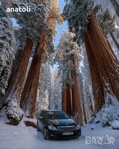 Mercedes-Benz C 200 CDI, Комби, Употребяван, нов внос