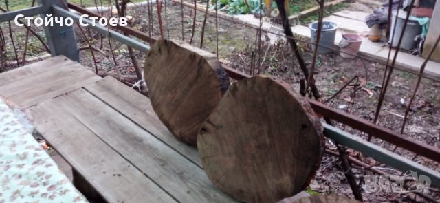 Орех труп и шайби от ореха, снимка 7 - Други - 35444412