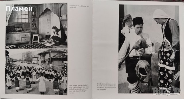 Bulgarien Kurt Haucke /Албум 1942/, снимка 13 - Антикварни и старинни предмети - 44047163