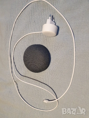 Google Home Mini