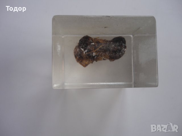 Рекламен куб реклама Marvelon , снимка 5 - Колекции - 43237892